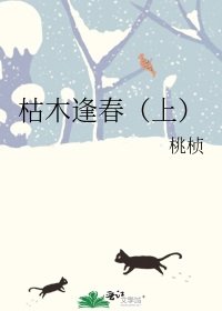 枯木逢春（上）
